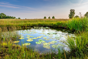 Comment se procurer une pompe d’arrosage ? Comment se procurer une pompe d’arrosage ?